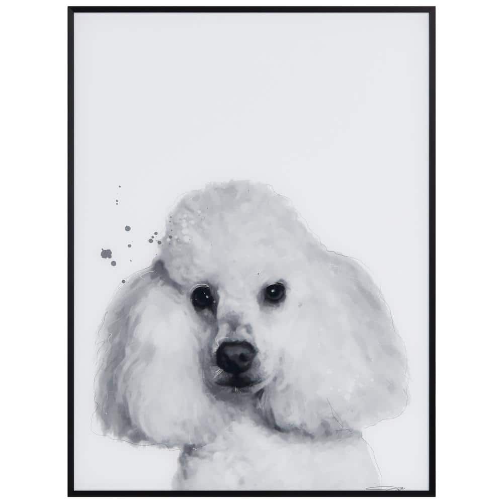 Empire Art Direct Poodle Black and White Pet Minimally Framed with Black Anodized Aluminum on Reverse Printed Art Glass, 24 in. x 18 in.