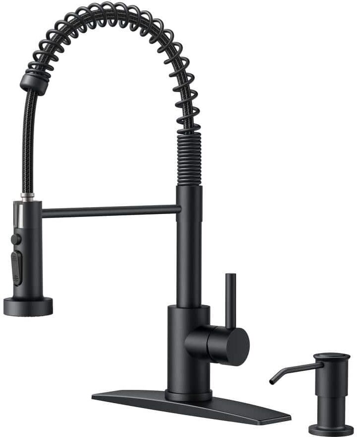 androme Single-Handle Pull Down Sprayer Kitchen Faucet Coil Spring Gooseneck with Soap Dispenser Stainless Steel in Matte Black