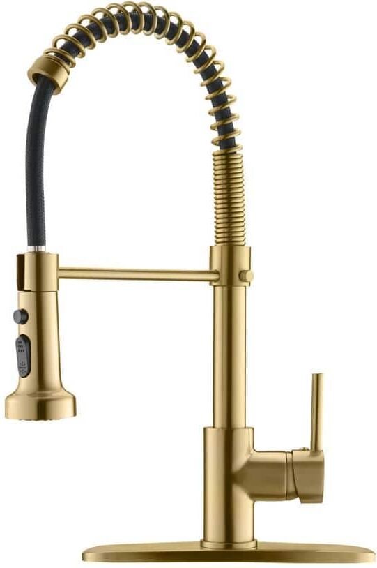 Flynama Single Hole Single-Handle Pull-Down Sprayer Kitchen Faucet with Rocker Switch in Brushed Gold (Deck Plate Included)