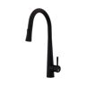 S STRICTLY KITCHEN + BATH Durrani Single Handle Pull-Down Sprayer Kitchen Faucet in Matte Black