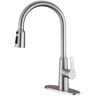 Single Handle Pull-Down Sprayer Kitchen Faucet with Flexible and Power Clean in Brushed Nickel