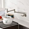 FLG Wall Mounted Pot Filler Folding Kitchen Faucet Brass Countertop Articulating Commercial 2 Handle Tap in Brushed Nickel