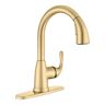 Glacier Bay Dylan Single-Handle Pull-Down Sprayer Kitchen Faucet in Matte Gold