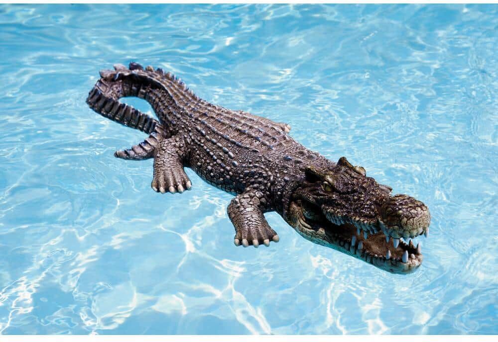 Poolmaster 30 in. Floating Crocodile Decoy for Pool, Pond, Garden and Patio