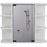 23.62 in. W x 19.68 in. H Rectangular Particle Board Medicine Cabinet with Mirror