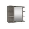 Zeus & Ruta Gray 23.62 in. W x 19.68 in. H Rectangular Particle Board Mirror Medicine Cabinet with Mirror Surface Mount Six Shelves