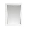 Avanity Allie 22 in. W x 28 in. H x 6 in. D Surface Mount Medicine Cabinet in White with Silver Trim