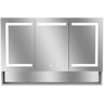 Modland Hans 48 in. W x 32 in. H Large Rectangular Silver Aluminum Recessed/Surface Mount Medicine Cabinet with Mirror