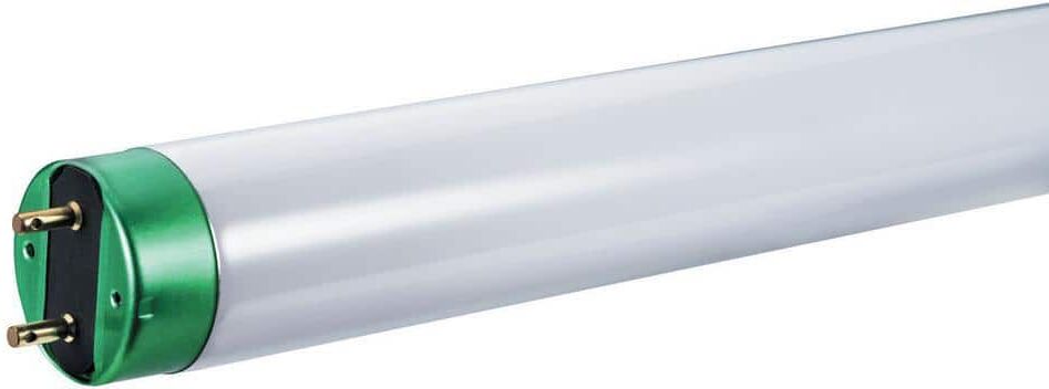 Philips 32-Watt 48 in. Linear T8 Fluorescent Tube Light Bulb Natural Daylight (5000K) (30-Pack)