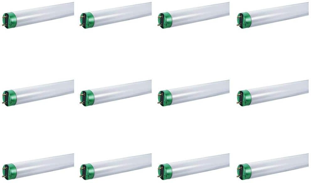 Philips 30-Watt 3 ft. Linear T8 Fluorescent Tube Light Bulb Bright White (3000K) (12-Pack)