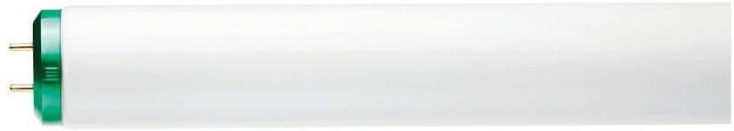 Philips 20-Watt 2 ft. Linear T12 ALTO Fluorescent Tube Light Bulb Daylight Deluxe (6500K) (12-Pack)