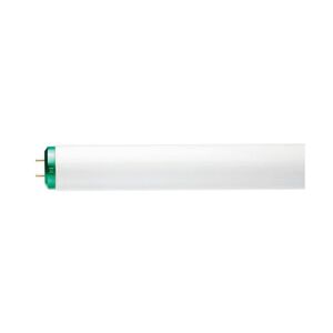 Philips 20-Watt 2 ft. Linear T12 Fluorescent Tube Light Bulb Cool White (4100K) (30-Pack)
