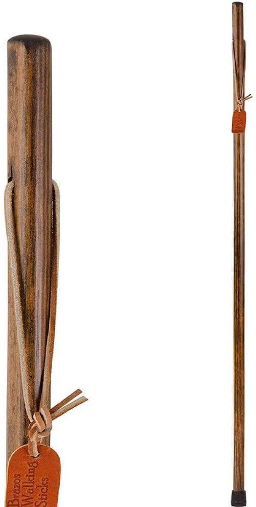 BRAZOS WALKING STICKS 48 in. Free Form Pine Blue Walking Stick