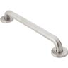 MOEN Home Care 48 in. x 1-1/4 in. Concealed Screw Grab Bar with SecureMount in Peened Stainless Steel