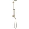 Grohe Bare Euphoria 25 in. Retrofit 1-Jet Shower System in Brushed Nickel Infinity