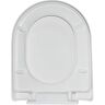 DEERVALLEY Elongated Easy-Release Soft-Close Closed Front Toilet Seat in White