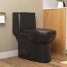 DEERVALLEY Ursa 1-Piece 1.1/1.6 GPF Dual Flush 12 in. Rough in Size Comfortable Height Elongated Toilet in Black