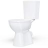 Pro-Ject 19 in. Rear Discharge Toilet 2-Piece 1.0/1.6 GPF Dual Flush Elongated Toilet in White, Seat Included