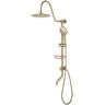 RAINLEX 3-Spray 10 in. Dual Wall Mount Shower Head and Handheld Shower Head with 5 GPM in Brushed Gold