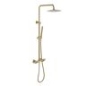 Toject Elva 1-Spray Patterns with 2.5 GPM 10 in. Wall Mount Dual Shower Heads with Handheld Shower in Brushed Gold