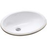 KOHLER Caxton 16-1/4 in. Oval Vitreous China Undermount Bathroom Sink in White