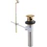 Delta Lavatory Drain Assembly Less Lift Rod in Champagne Bronze