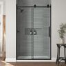 Home Decorators Collection Dylan 48 in. W x 75.98 in. H Sliding Frameless Shower Door in Matte Black with Clear Glass