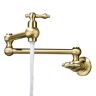 GIVING TREE Antique Double Handle Wall Mount Pot Filler with Solid Brass Instruction in Brushed Gold