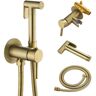 Aurora Decor ALA Non- Electric Bidet Attachment in Brushed Gold