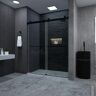 niveal Aohl 60 in. W x 76 in. H Sliding Semi-Frameless Shower Door in Matte Black Finish with Clear Glass