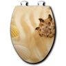 Shells in. the Sand Elongated Closed Front Toilet Seat in White