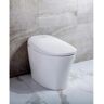 Transolid Ginger 1-Piece 1.28 GPF Single Flush Elongated Smart Toilet Bidet in White