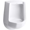 KOHLER Freshman Waterless Urinal With Rear Spud in White