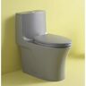 Abruzzo One-Piece Toilet 1.1 GPF/1.6 GPF Dual Flush Elongated Toilet with Soft Closing Seat in Light Grey