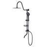 RAINLEX 3-Spray 10 in. Dual Wall Mount Shower Head and Handheld Shower Head with 5 GPM in Matte Black