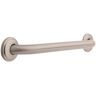 Franklin Brass 1 1/4 in. x 18 in. Concealed Screw Grab Bar in Brushed Nickel