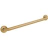 Speakman Neo ADA 24 in. Grab Bar