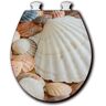 Shells Abound Round Closed Front Toilet Seat in White