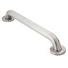 MOEN Home Care 30 in. x 1-1/4 in. Concealed Screw Grab Bar with SecureMount in Peened Stainless Steel
