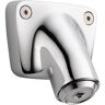 Delta Commercial 30-Degree Institutional 1-Spray Patterns 1.75 in. Wall Mount Fixed Shower Head in Chrome