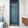 DreamLine Butterfly-S 31.5 in. W x 73.875 in. H Sliding Semi Frameless Shower Door in Oil Rubbed Bronze with Clear Glass