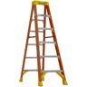 Werner 6 ft. Fiberglass Step Ladder (10 ft. Reach Height) with 300 lb. Load Capacity Type IA Duty Rating