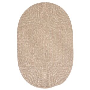 Home Decorators Collection Cicero Oatmeal 8 ft. x 11 ft. Oval Braided Area Rug