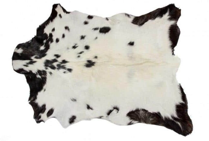 HomeRoots Bernadette Black/White 2 ft. x 3 ft. Specialty Abstract Cowhide Area Rug