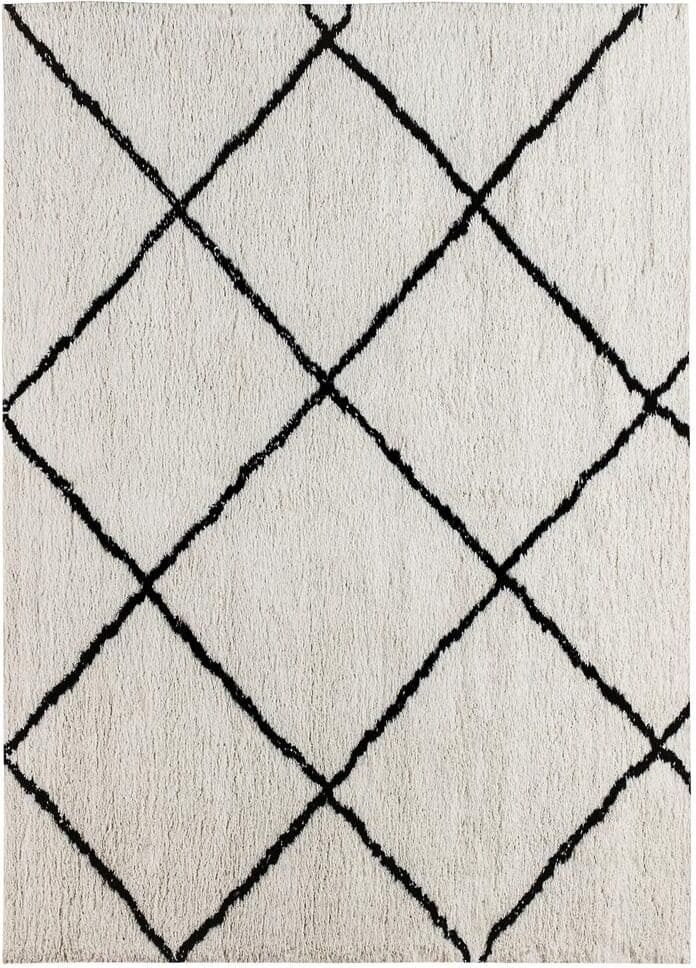 Carnegy Avenue 8' x 10' Ivory and Black Diamond Trellis Modern Shag Area Rug