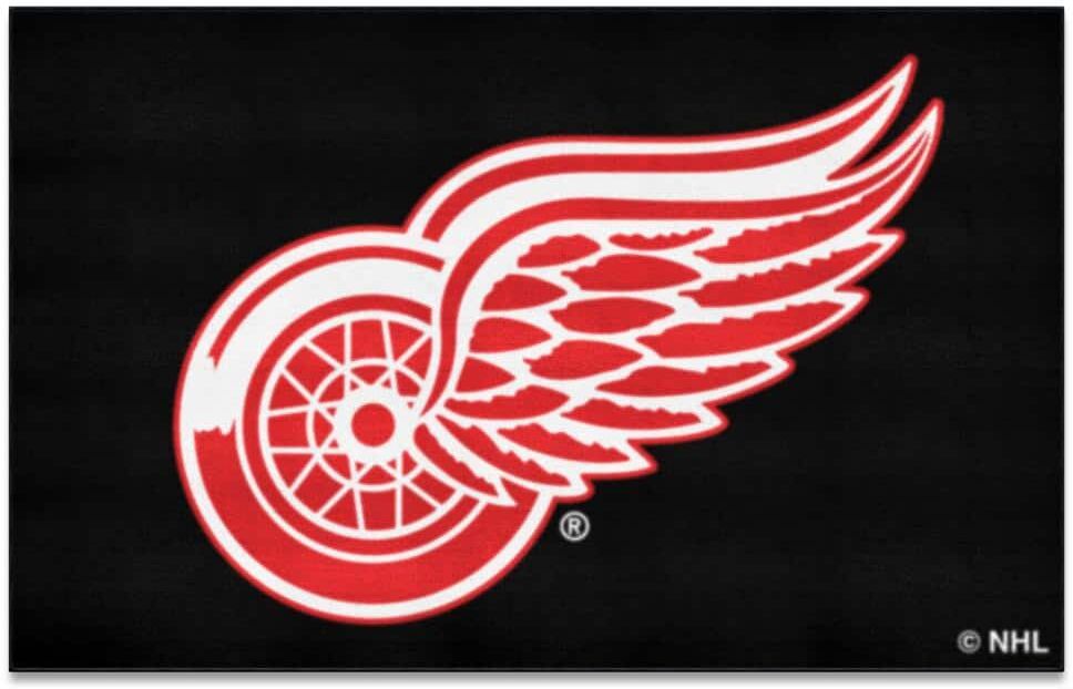 FANMATS Detroit Red Wings Black 5 ft. x 8 ft. Ulti-Mat Area Rug