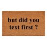 Calloway Mills Did You Text First Doormat, 30" x 48"