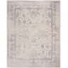 SAFAVIEH Adirondack Ivory/Silver 8 ft. x 10 ft. Border Distressed Area Rug