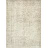 Surya Becki Owens x  Margot Olive Oriental 5 ft. x 7 ft. Indoor Area Rug