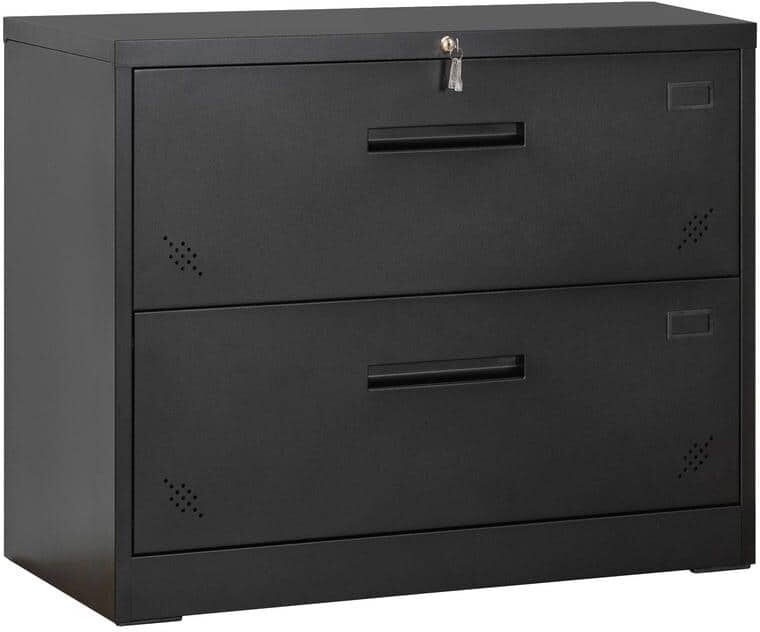 Tenleaf Black 2 Drawer Lateral Filing Cabinet for Legal/Letter A4 Size, Large Deep Drawers Locked by Keys